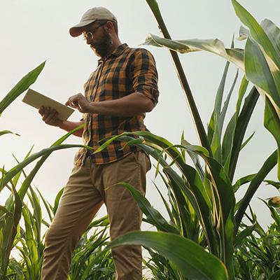 a farmer uses an ipad in a field